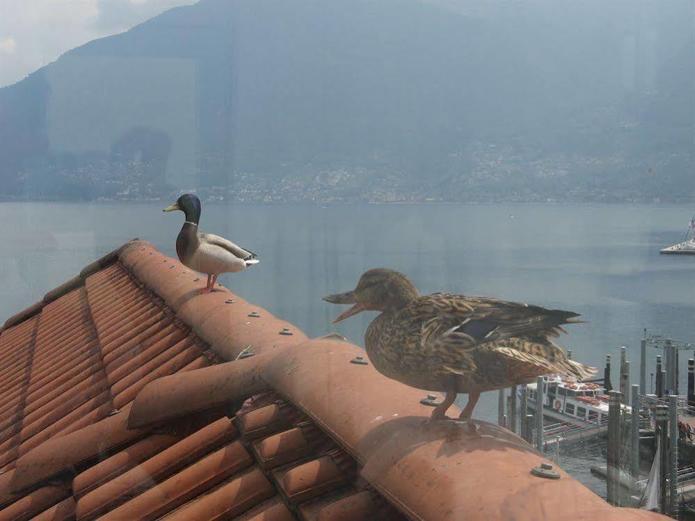 Hotel Millennium Locarno Kültér fotó